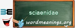 WordMeaning blackboard for sciaenidae